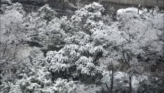 全国将来十天气候预告：华北东北地域气温偏低