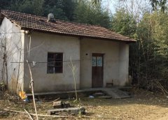 奇异现象！农村房子一旦不住人几年就烂了