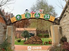 日照山海天成长新韵：丛林公园的生态取文旅重